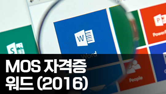 취업준비 시작하자 - MOS 자격증 따기 (MS Word 2016 Expert)