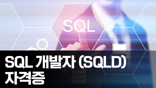 SQL 개발자 (SQLD) 자격증 따기 Part.4-2 SQL 활용