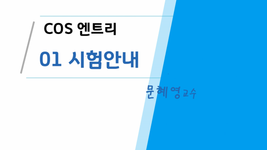 COS(Coding Specialist) 자격증 따기 (YBM시행) 1급 따기 - 엔트리