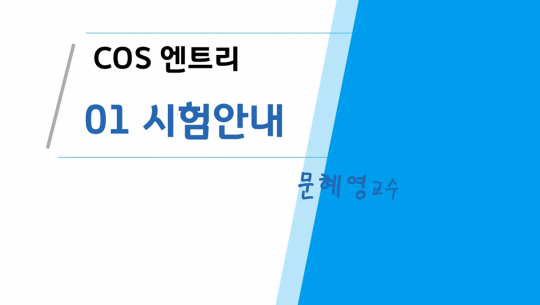 COS(Coding Specialist) 자격증 따기 (YBM시행) 2급 따기 - 엔트리