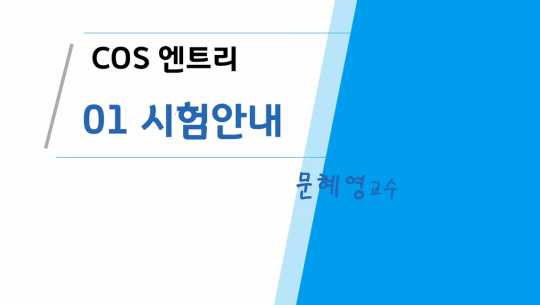 COS(Coding Specialist) 자격증 따기 (YBM시행) 3급 따기 - 엔트리